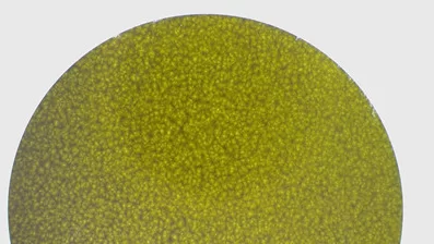 CVDダイヤモンドプレート (2)